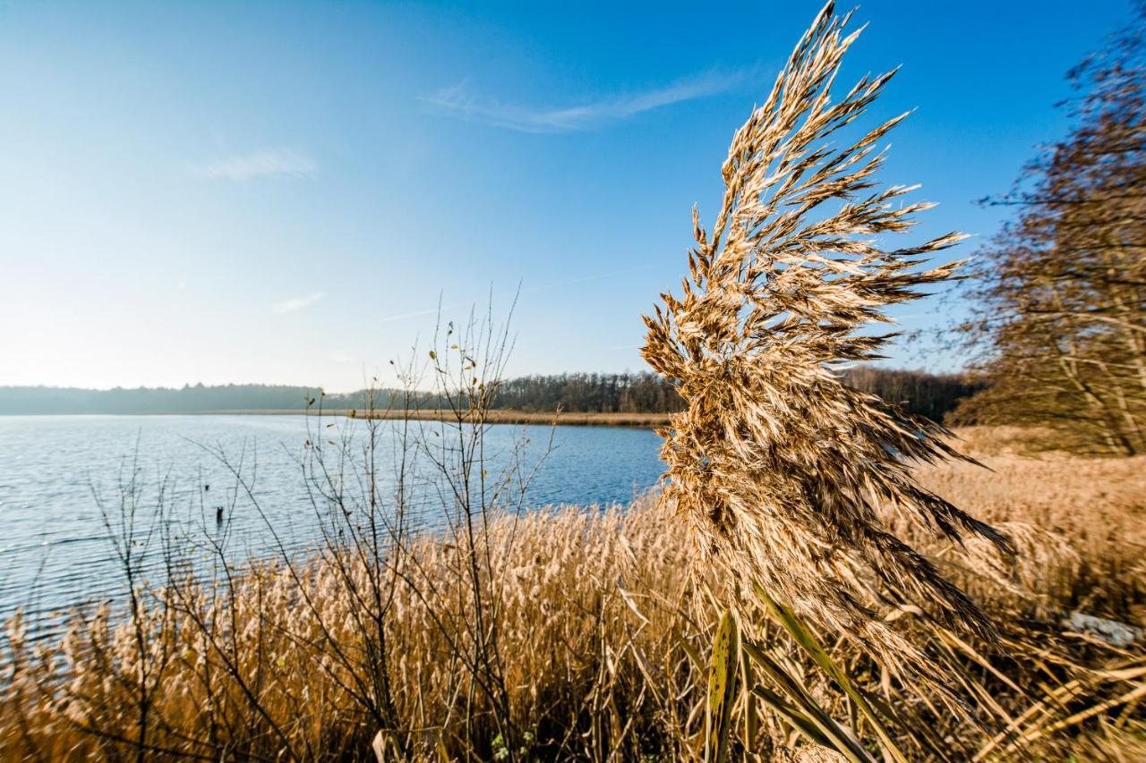 5 Sterne Ferienhaus Direkt Am See Mit Sauna-Kamin-Garten كراكو آم زيه المظهر الخارجي الصورة